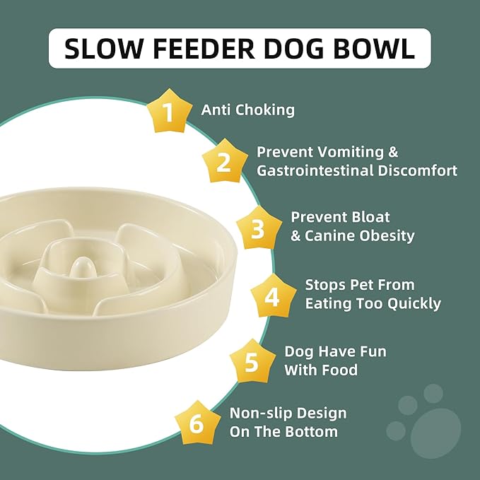 Ceramic 1.2 Cup Slow Feeder Dog Bowl
