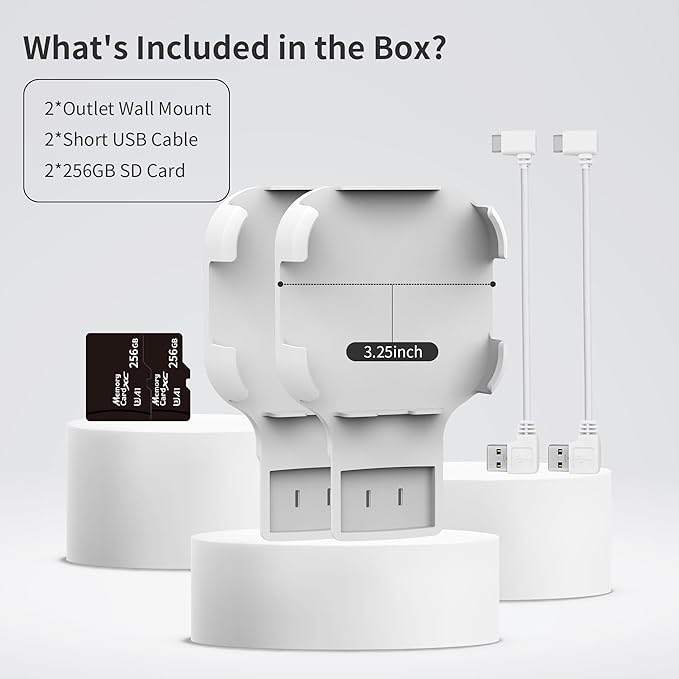256GB MicroSD Card & Wall Mount
