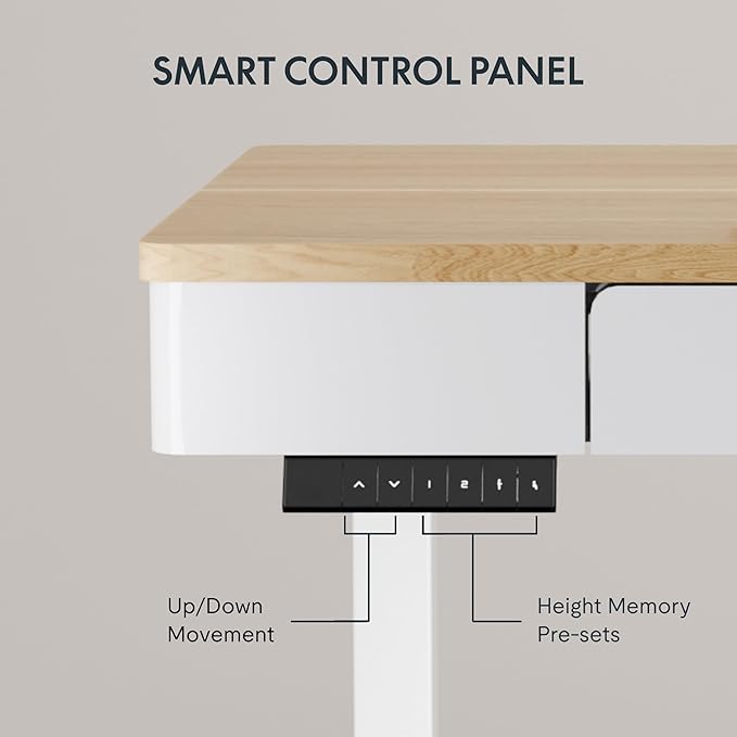 FLEXISPOT Q5 Standing Desk