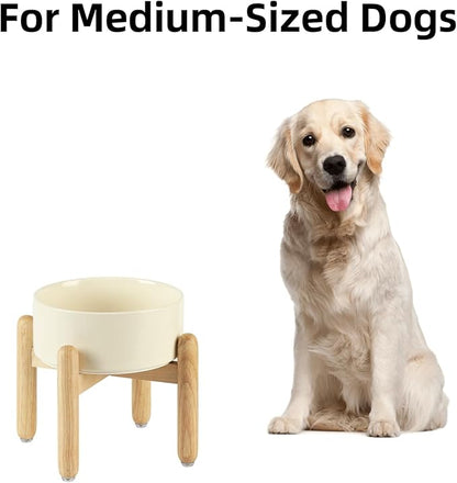 Ceramic 7.3inch Raised Dog Bowl Set, Elevated