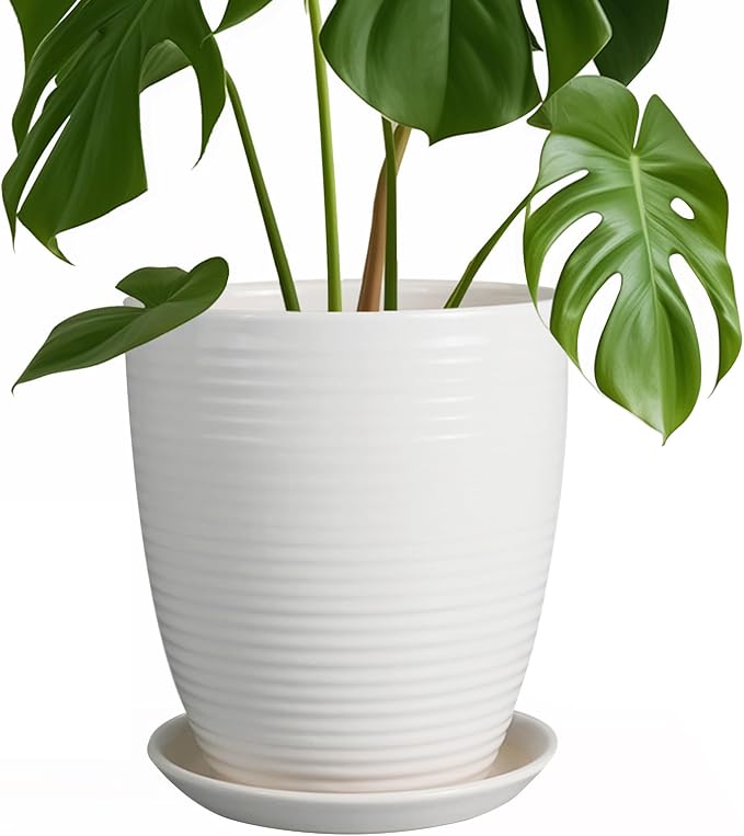 8 Inch Ceramic Planter Pot Round Plant Pot with Drainage Hole and Saucer Modern Flower Pot for Indoor Outdoor Plants White