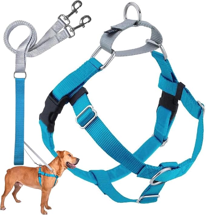 2 Hounds Design Freedom No Pull Dog Harness, Adjustable Harness and Leash Set, Easy Walking & Comfortable Control, Fits Small, Medium & Large Dogs, Solid Colors, Made in USA, 1" LG, Turquoise