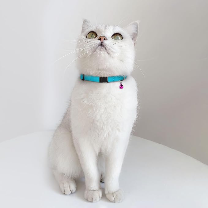 Breakaway Cat Collar Leather with Removable Bell - 13 Colors Available - Soft Adjustable Girl Boy Safety Lightweight Pet Kitten Collars Pink Brown Blue Green Red Orange Black (Aquamarine)