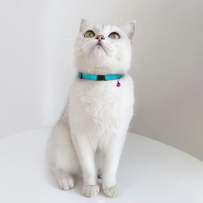 Breakaway Cat Collar Leather with Removable Bell - 13 Colors Available - Soft Adjustable Girl Boy Safety Lightweight Pet Kitten Collars Pink Brown Blue Green Red Orange Black (Aquamarine)