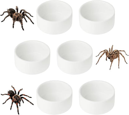 6 Pcs Spider Micro Ceramic Water Bowl, Mini Pet Dish for Spider Tarantula Scorpion Millipede Hermit Crab Tiny Reptile (1 oz)