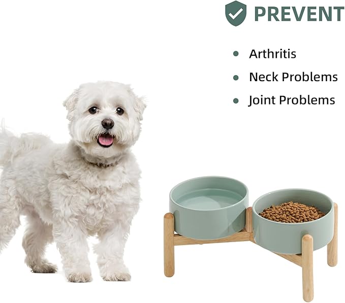 Ceramic 6.1inch Raised Dog Bowl