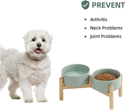 Ceramic 6.1inch Raised Dog Bowl