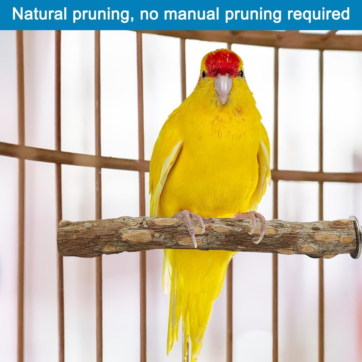 4 Pcs Natural Wooden Bird Perch Parrot Stand, 2 Grape Wood Perches, A Stand Fork Standing Branch, A Paw Grinding Fork, Bird Cage Accessories for Parakeets, Birdcage Sticks & Toys for Budgies, Finches