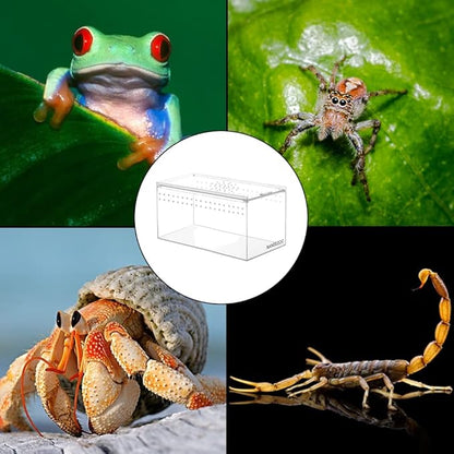 NANEEZOO Magnetic Acrylic Reptile Terrarium Enclosure, 8" x 4" x 4" Reptile Insect Breeding Box for Small Reptiles, Invertebrates, Mantis, Spider, Cricket, Tarantula
