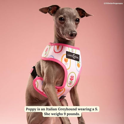 Lucy & Co. Dolce Vita Reversible Dog Harness, Adjustable Comfort Fit with Dual Leash Attachments, X-Large