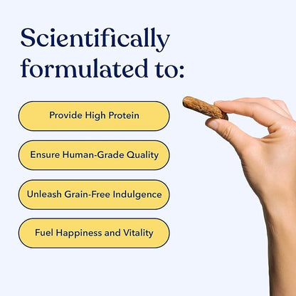 Honest Paws Dog Jerky Treats - All-Natural Jerky Dog Treats for Training Pets - Human Grade Bites - Real USA Chicken