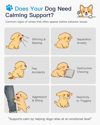Dog Calming Pheromone Diffuser Kit – Plug-in Anxiety & Stress Relief