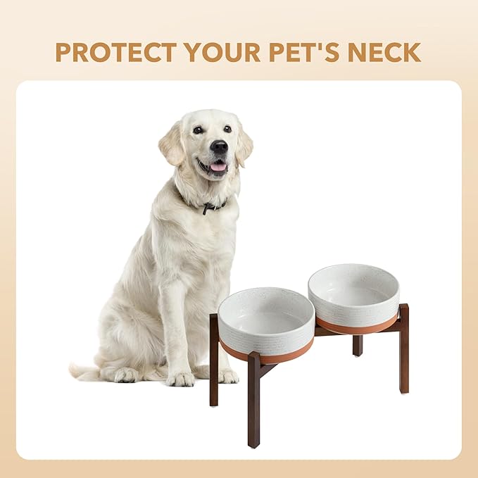 Ceramic 8.2inch Raised Double Dog Bowls Set