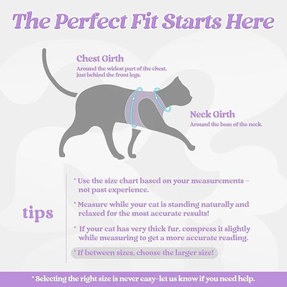 rabbitgoo Cat Harness and Leash Set for Walking Escape Proof, Adjustable Soft Kittens Vest with Reflective Strip for Cats, Comfortable Outdoor Vest, Light Purple, XL