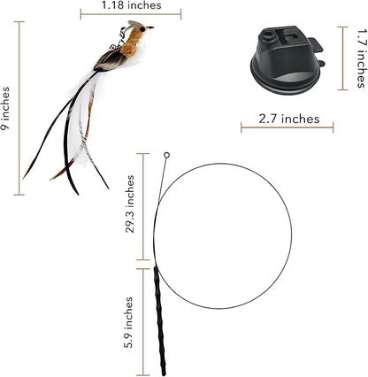 Interactive Suction Cup Cat Toy for Indoor Cat, Long Tail Feather Bird, Spring Wire Suctions to Ground, Hands Free Bird Simulation Cat Toy Wand Set that Sticks to Floor, Feathers & Bells