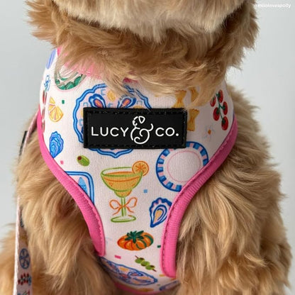 Lucy & Co. Dolce Vita Reversible Dog Harness, Adjustable Comfort Fit with Dual Leash Attachments, X-Large