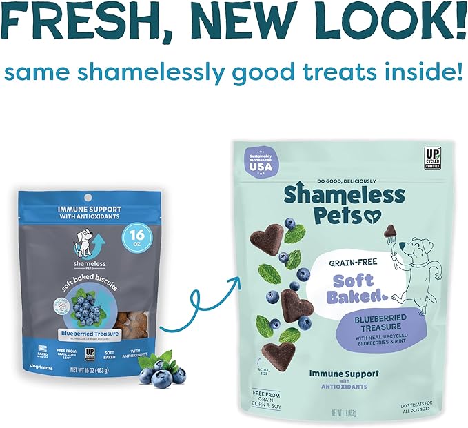Shameless Pets Soft-Baked Dog Treats, Blueberried Treasure - Natural & Healthy Chews with Mint for Immune Support - Dog Biscuits Baked & Made in USA, Free from Grain, Corn & Soy - 1 Pound (Pack of1)