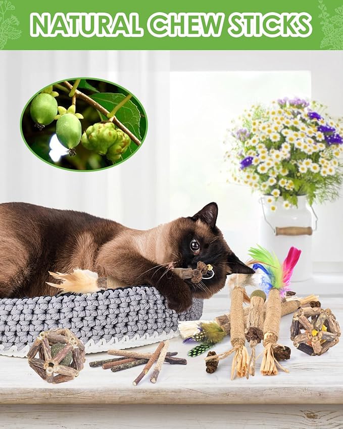 TINDTOP Cat Chew Toys, 12 Pack Silvervine Chew Sticks with 2 Pack Cage Balls for Kittens Teeth Cleaning, Matatabi Dental Care, Increase Appetite, Aggressive Chewers Cat Dental Toy