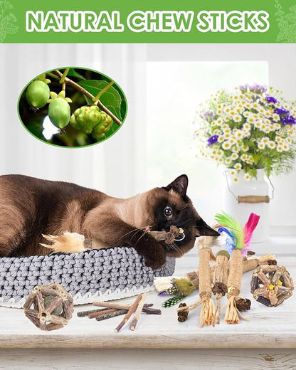 TINDTOP Cat Chew Toys, 12 Pack Silvervine Chew Sticks with 2 Pack Cage Balls for Kittens Teeth Cleaning, Matatabi Dental Care, Increase Appetite, Aggressive Chewers Cat Dental Toy