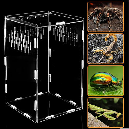Jumping Spider Enclosure, 10x6x6 Inch Acrylic Reptile Enclosure with Front Door, Large Insect Terrarium Habitat for Jumping Spiders, Praying Mantis, Arboreal Tarantulas