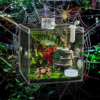6 Pack Tarantula Ceramic Feeding Bowl Hermit Crab Water Bowl Spider Small Reptile Micro Ceramic Food Dish (1.37" D, 0.51" H)