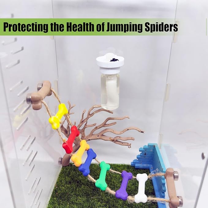 Jumping Spider Water Dispenser, Magnetic Hanging Feeder,Suitable for Jumping Spiders,Tarantulas, Praying Mantises,Arboreal Animals, and Other Small Animal Enclosure Accessories (White, 5ML)