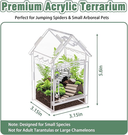 Acrylic Terrarium Kit for Jumping Spiders & Tarantulas - 3.15"x3.15"x5.6" Spider Enclosure with Magnetic Feeding Door & Secure Latch - Ideal Reptile Cage, Praying Mantis Habitat, Bug Terrarium