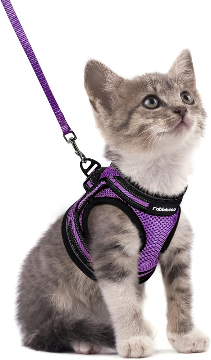 rabbitgoo Cat Harness and Leash Set for Walking Escape Proof, Adjustable Soft Kittens Vest with Reflective Strip for Cats, Comfortable Outdoor Vest, Purple, S