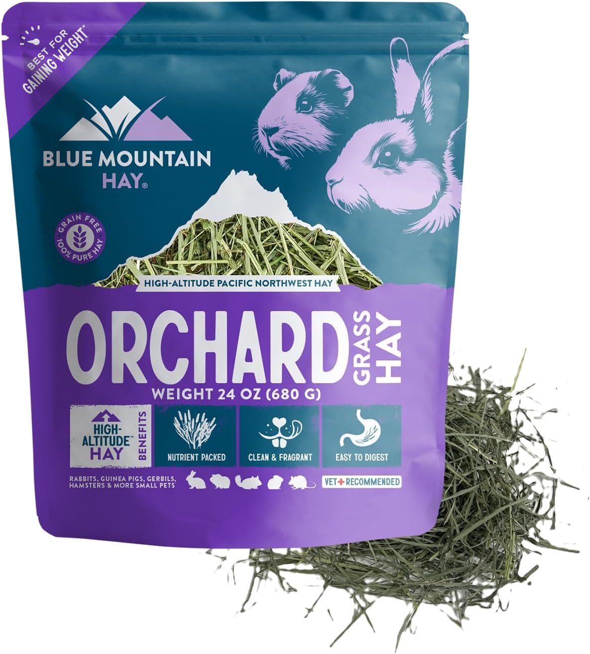 Blue Mountain Hay | Fresh Orchard Grass Hay (24 Ounce) | High Fiber, Soft & Leafy | High-Altitude Hay Pet Food for Rabbits, Guinea Pigs, Chinchillas, Hamsters, and Other Small Pets