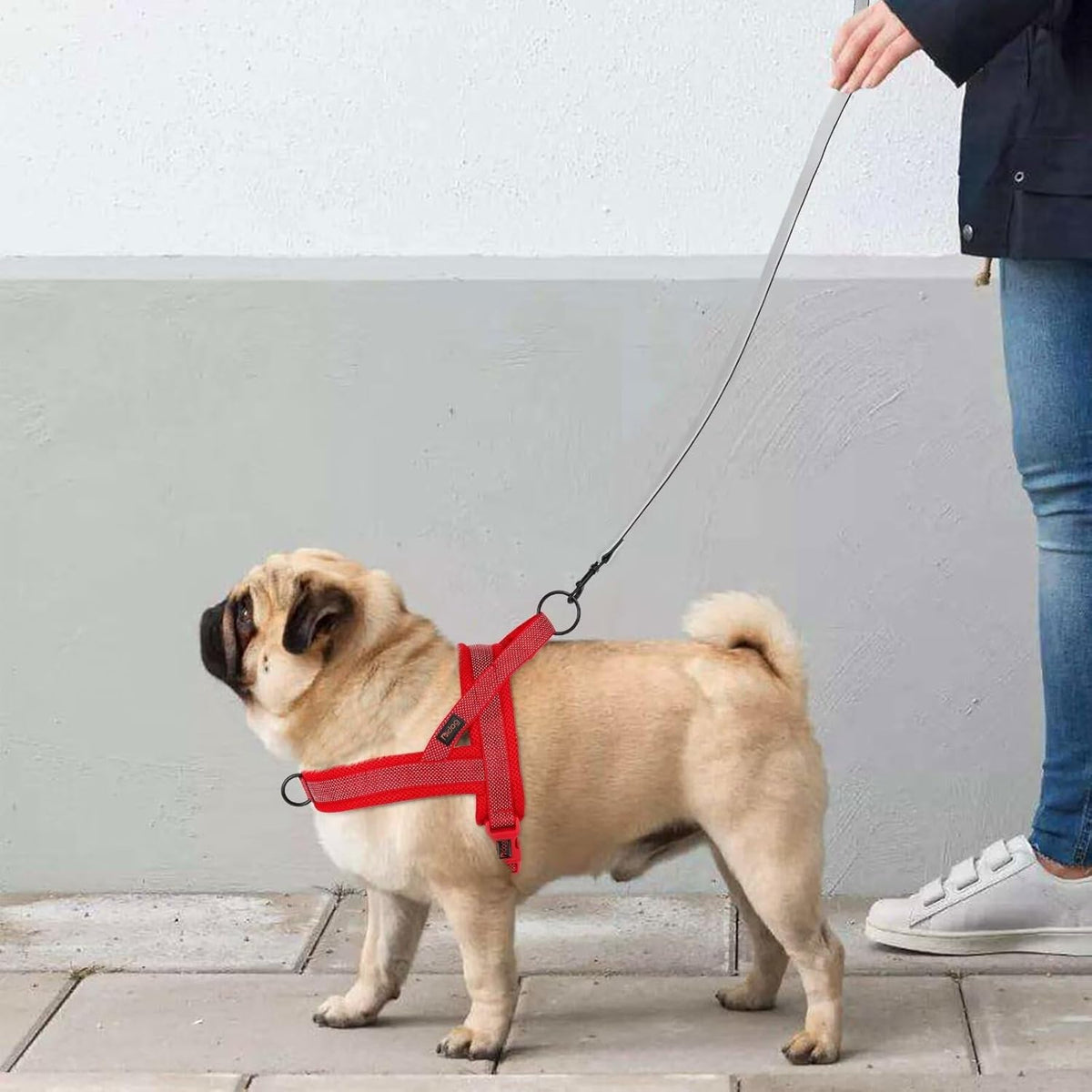 Didog No Pull Dog Harness with Breathable Mesh Padded, Full Reflective & Quick Fit Adjustable Vest Harness, Easy for Training Walking for Small & Medium and Large Dogs (Red, L:Chest 26-32")