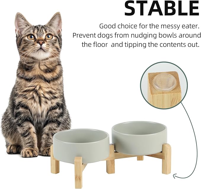 Ceramic Raised Double Bowls Set