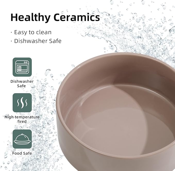 Ceramic 5.1inch Raised Double Bowls Set