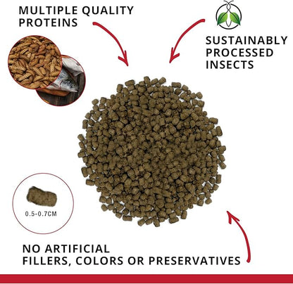 Fluval Bug Bites Cichlid Fish Food, Pellets for Medium to Large Sized Fish, 3.53 oz., A6581 (Pack of 2)
