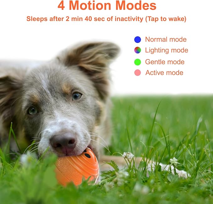 Interactive Dog Ball - Smart Toy for Small and Medium Dogs, Automatic Moving Ball, Rotating & Bouncing, Durable TPU+PC Shell, Toys That Keep Dogs Busy, for Dog