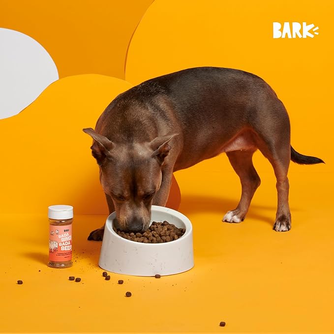 Barkbox Beef Dog Treat Topper High Protein Limited Ingredient Mixer, Rosemary Extract for Large & Small Breeds, Elevate Dog Food Dining, Shake & Pour for Dog Bowls (Pack of 3)