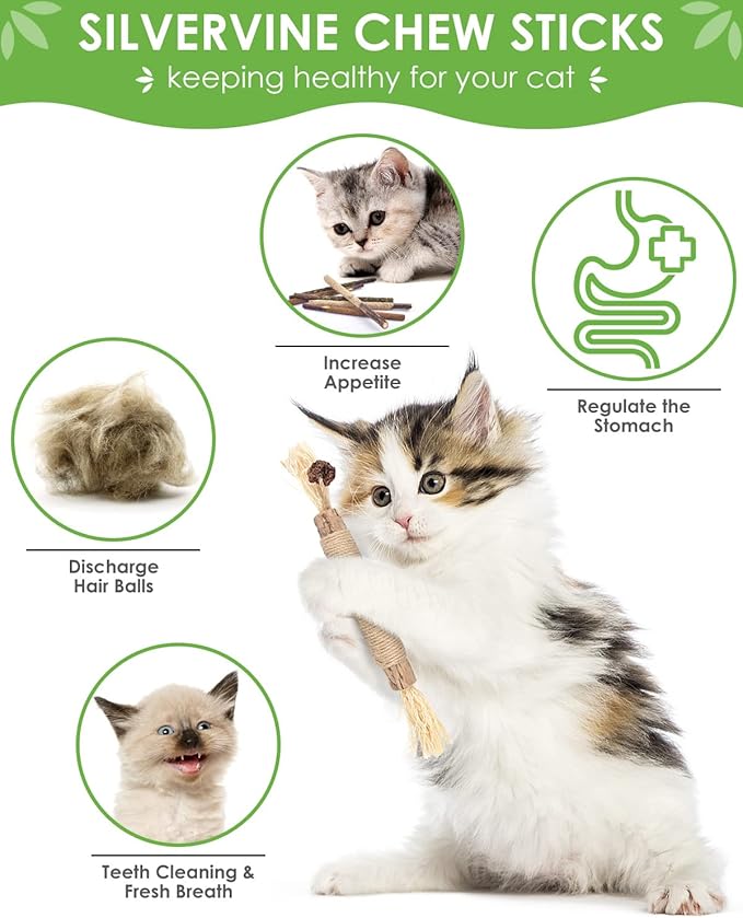 TINDTOP Silvervine Chew Sticks for Cats, 12 Pack Natural Catnip Chew Toys for Kittens Teeth Cleaning, Matatabi Dental Care, Increase Appetite, Calm Cat Anxiety and Stress, Cat Dental Toy
