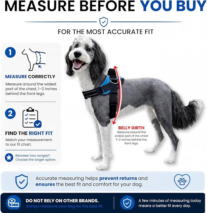 ShawnCo Essential Pro Dog Harness, No-Pull Pet Vest with Removable, Reflective Side Patches, Adjustable and Padded Harness for Small, Medium and Large Dogs (Orchid, XS)