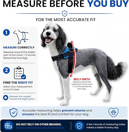 ShawnCo Essential Pro Dog Harness, No-Pull Pet Vest with Removable, Reflective Side Patches, Adjustable and Padded Harness for Small, Medium and Large Dogs (Orchid, XS)