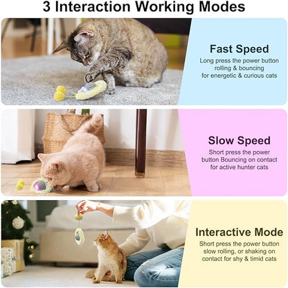 Interactive Cat Toys for Indoor Cats, Automatic Motion Toy in Pouch, Activated Fast Rolling Ball in Play Mat, Hide and Seek Mouse Catching Game with Chirping, LED Light, Auto On/Off (Grey)