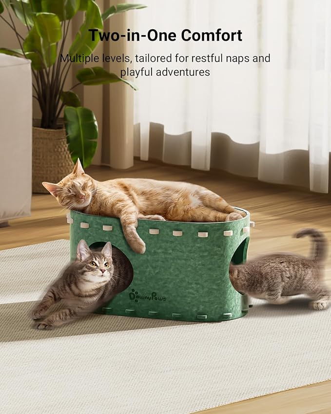 DownyPaws Cat House for Indoor Cats, Cat Bed Cave for Multiple & Large Cats Up to 22 Lbs, Scratch Resistant Peekaboo Cat Caves, Foldable Tunnel Enclosed Bed, PeekaPurr, Forest