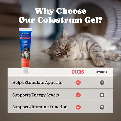 Bovine Colostrum Nutritional Gel for Dog & Cat - High Calorie Supplement for Dogs and Cats, Support Appetite for Cat, Immune Support, Dog Weight Gainer, Senior Dogs Cats Supplement