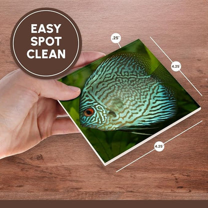 3dRose Blue Exotic Discus Fish Set of 8 Ceramic Tile Coasters