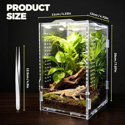 Acrylic Spider Enclosures, Insect Breeding Boxes, Insect Enclosures, Scorpion Habitats, Small Lizard and Frog Enclosures