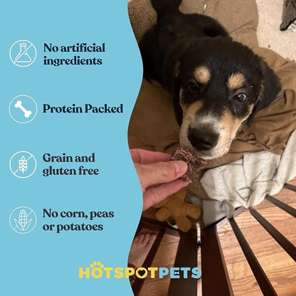 hotspot pets Dehydrated Beef Lung Dog Treats - 2lb Big Bag- All-Natural, One Ingredient - High Protein, Low Fat - Slow Roasted Oven Baked Dog Chews, A Healthy Rawhide Alternative for All Dogs
