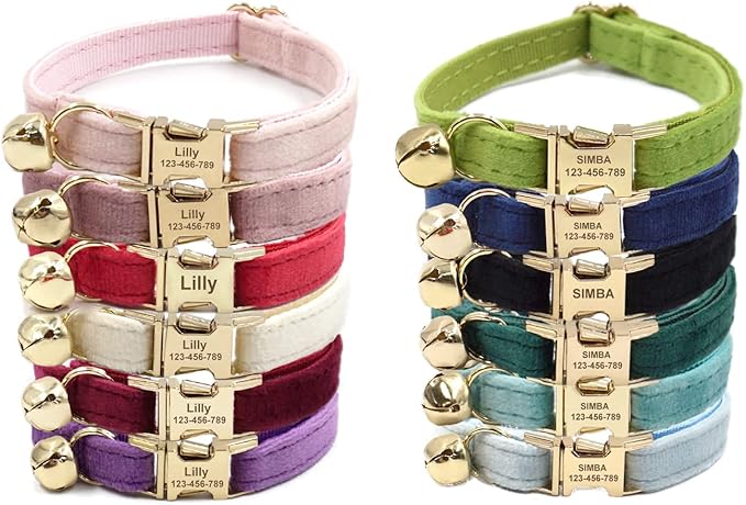 Personalized Cat Collar with Gold Buckle and Engraved Name Tag