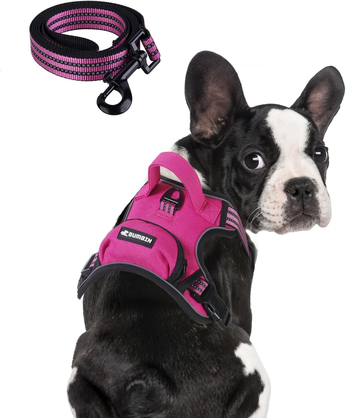 BUMBIN Dog Harness for Large Dogs, No Pull Adjustable No Choke Pet Vest with Dog Leash Fit Smart Reflective Pet Walking Harness for Training Easy Control Soft Handle Rose Red L