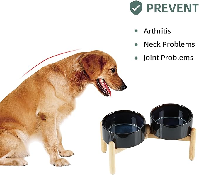 Ceramic 7.3inch Raised Double Bowls Set