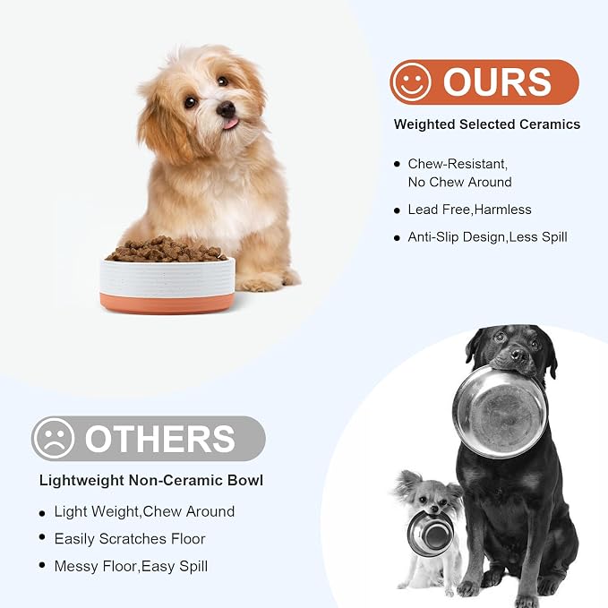 SPUNKYJUNKY Ceramic Dog and Cat Bowls 2 Pack, 5.1'' Dog and Cat Food Water Double Feeding Bowls Non-Slip for Cats and Puppy Small Sized Breed Microwave Dishwasher Safe - 13.5 OZ, 2pcs, Pattern White