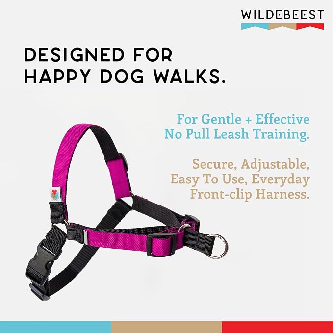 No Pull Dog Harness | Comfortable Training Harnesses | Effective No Pull Harness Design | Ideal for Medium Sized Dog | 4-Point Adjustable(M - 22~28 inch Girth, Fuchsia)