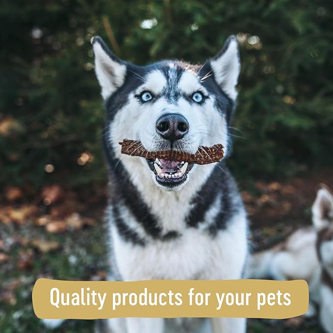 Farm Hounds - Duck Gizzards - Premium Natural Jerky for Dogs - 100% Humanely Raised Duck - Break-to-Size - Great for Training & Treats - No Added Fillers - Made in USA - 4oz - 1 Pack
